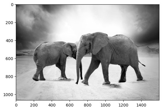 ../../../_images/169bd3d97fedffb36f666c672b78b8b4f778b3436061afafd23c2ca935d2da9c.png