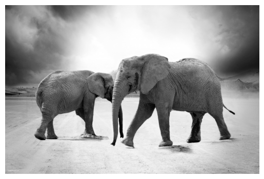 ../../../_images/fe4c11ae1e4240ccad5ce1fc9761591733ac4157b6e4e461f6d6461ab0a4af99.png